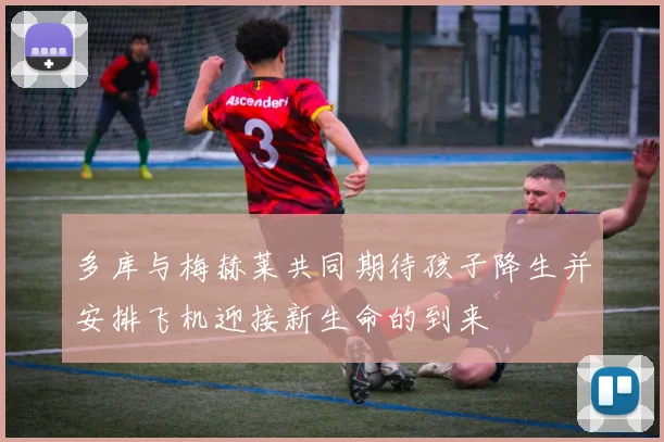 多库与梅赫莱共同期待孩子降生并安排飞机迎接新生命的到来